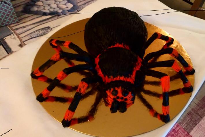 araignée 2