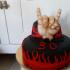 rock 1