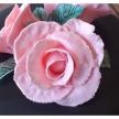 01rose 1